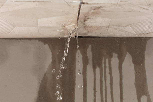 Professional Water Damage Repair technician working in Fayetteville, TX